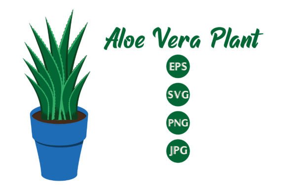 Aloe Vera Plant Graphics: A Freebie with Strong Branding Potential